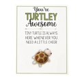thumbnail image 1 of CAIROYAR 1 minitortuga de bolsillo para abrazar, eres una tortuga, un regalo inspirador increíble con tarjeta, tarjetas de agradecimiento, tarjeta de felicitación, minifigura de tortuga marina, regalo, 1 of 7