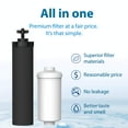 thumbnail image 2 of Filterlogic Water Filter, Replacement for Black Filters (BB9-2) & Fluoride Filters (PF-2) Combo Pack and Gravity Filter System - Includes 2 Black Filters and 2 Fluoride Filters, 2 of 4
