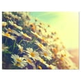 thumbnail image 2 of Nature avec Camomilles en Fleurs - Grande Toile Murale Florale, 2 of 3