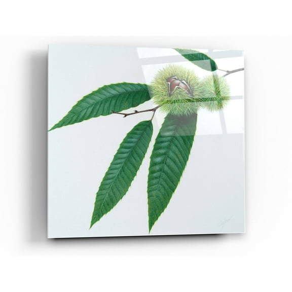 Epic Art 'Chestnut' by Zigen Tanabe, Acrylic Glass Wall Art, 24"x24"