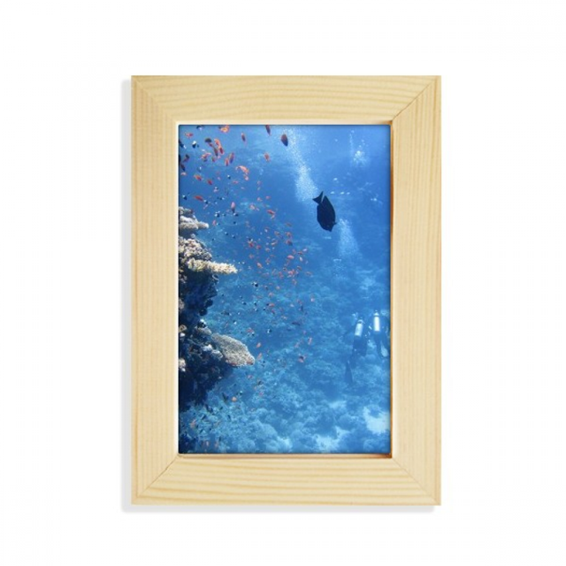 Océan Poisson Plongée Science Nature Image Bureau Affichage Photo Cadre Image Art Peinture 5 X 7 Pouces