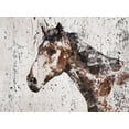 thumbnail image 2 of Orlov, Irena 18x15 White Modern Wood Framed Museum Art Print Titled - Galaxy Horse II, 2 of 4