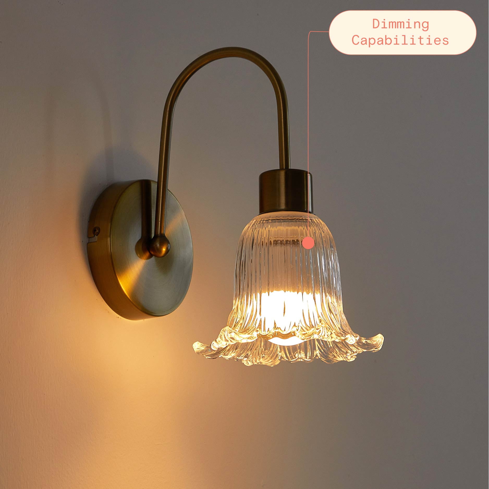 Beautiful Clear Flower Petal LED Rechargeable Wall Sconce by Drew Barrymore