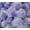 Lavender, variant on 30pcs Large Glitter Tinsel Pom Poms Sparkle Balls for DIY Craft,Cat Toys(1.5 Inch,Lavender)