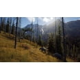 thumbnail image 2 of Jeu vidéo Way of The Hunter pour (XSX), 2 of 7