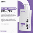 thumbnail image 2 of Ancient Roots Sulfate Free Shampoo for Dry Hair, Deep Hydration Shampoo with Aloe Vera, Castor Oil, Amla, Flaxseed, Fenugreek and Hibiscus, 8 Fl Oz, 2 of 11