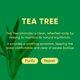 thumbnail image 3 of Champú en barra MARS MADE Tea Tree 2.0 hidratante 120 g, 3 of 7