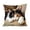 #001-Multicolor, variant on TanSiDing Cute Cat Pillowcase with Hidden Zipper, Soft Plush Pet Lover Throw Pillow Cover, Decorative Cushion Case for Bed Sofa Living Room Decor 17.72in
