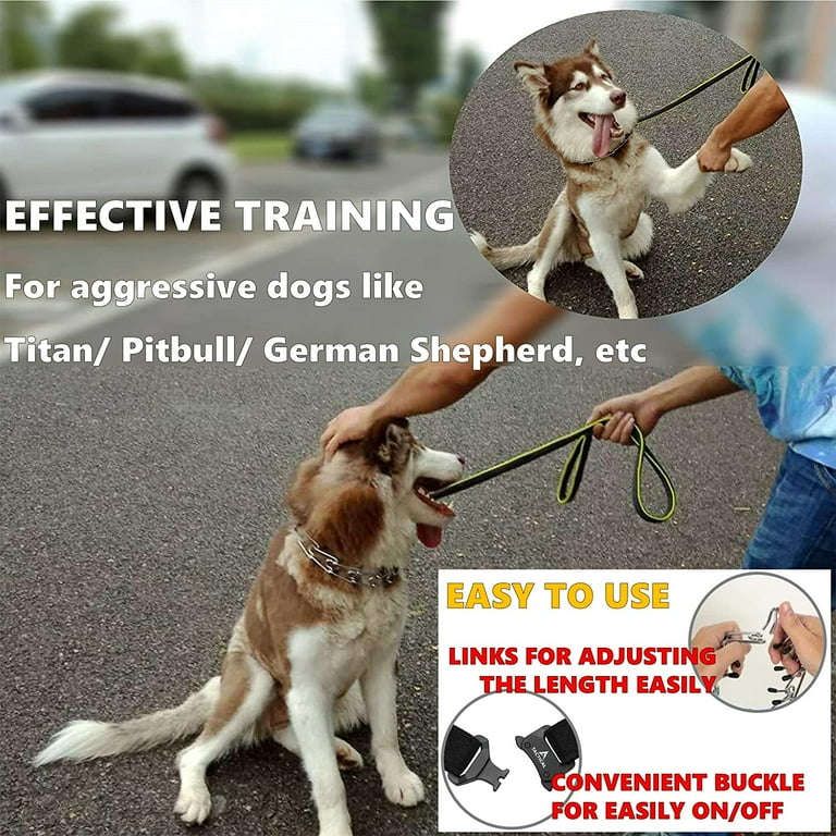 Titan easy on store prong collar