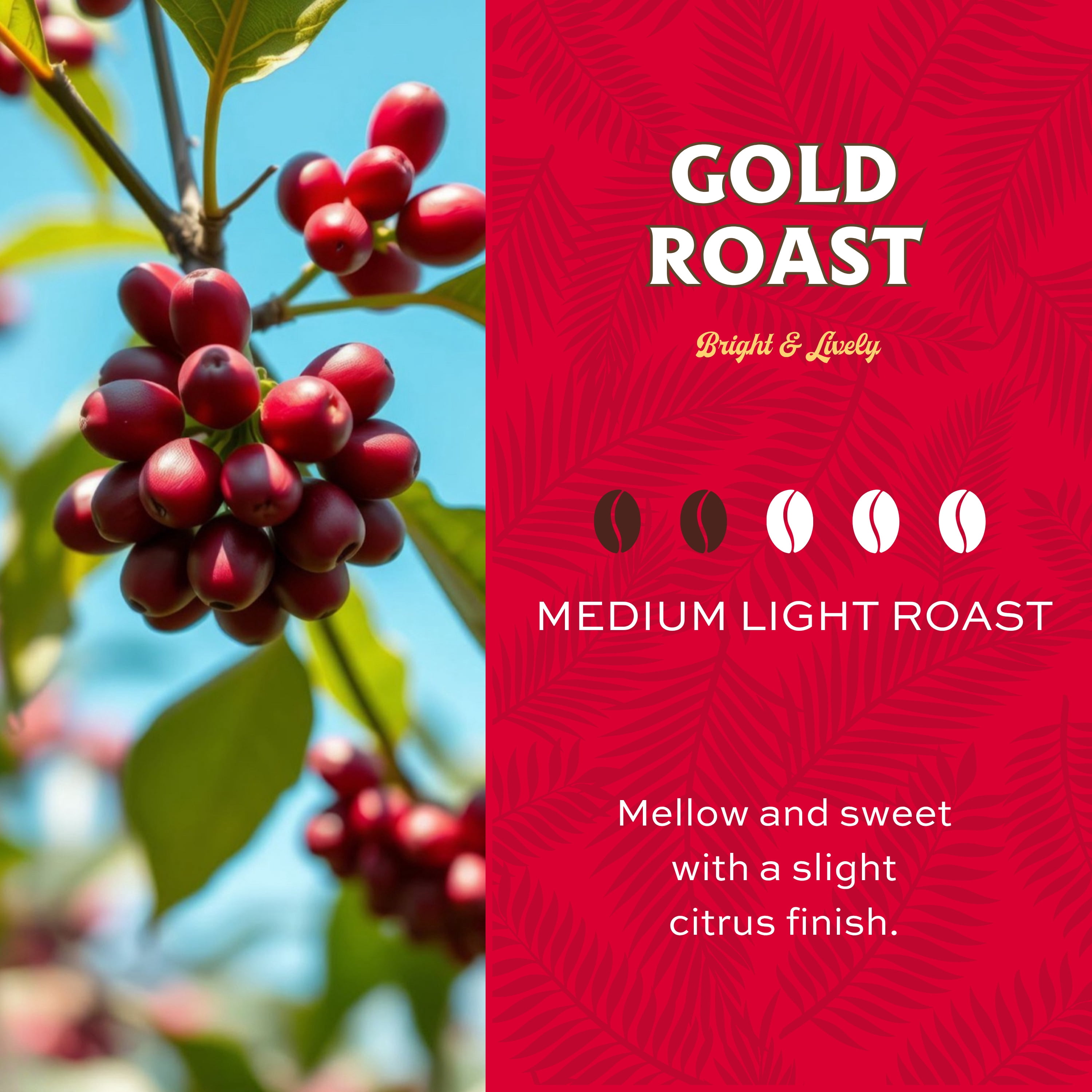 Lion Coffee Gold Roast Ground Coffee, 100% Arabica, Medium-Light Roast, 24 oz