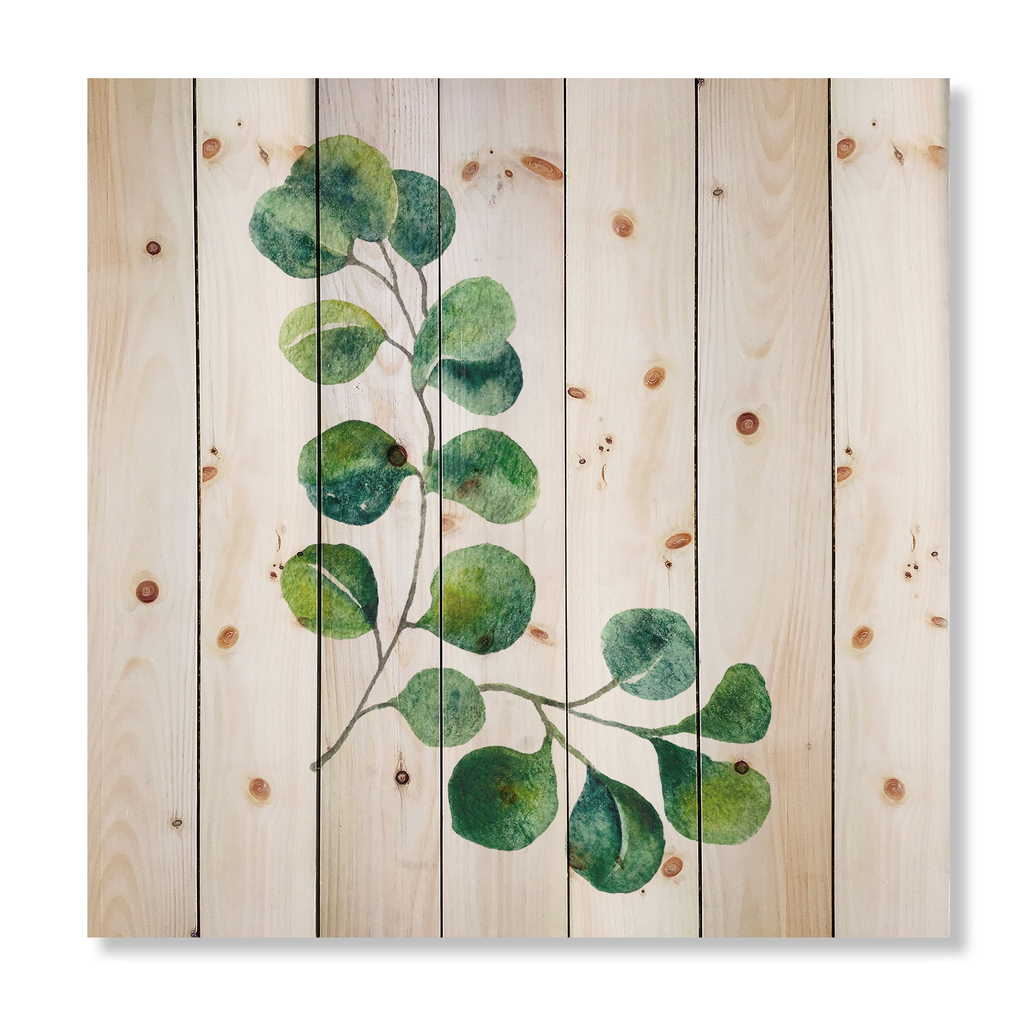 Designart 'Green Eucalyptus Plant Branches II' Traditional Print on Natural Pine Wood