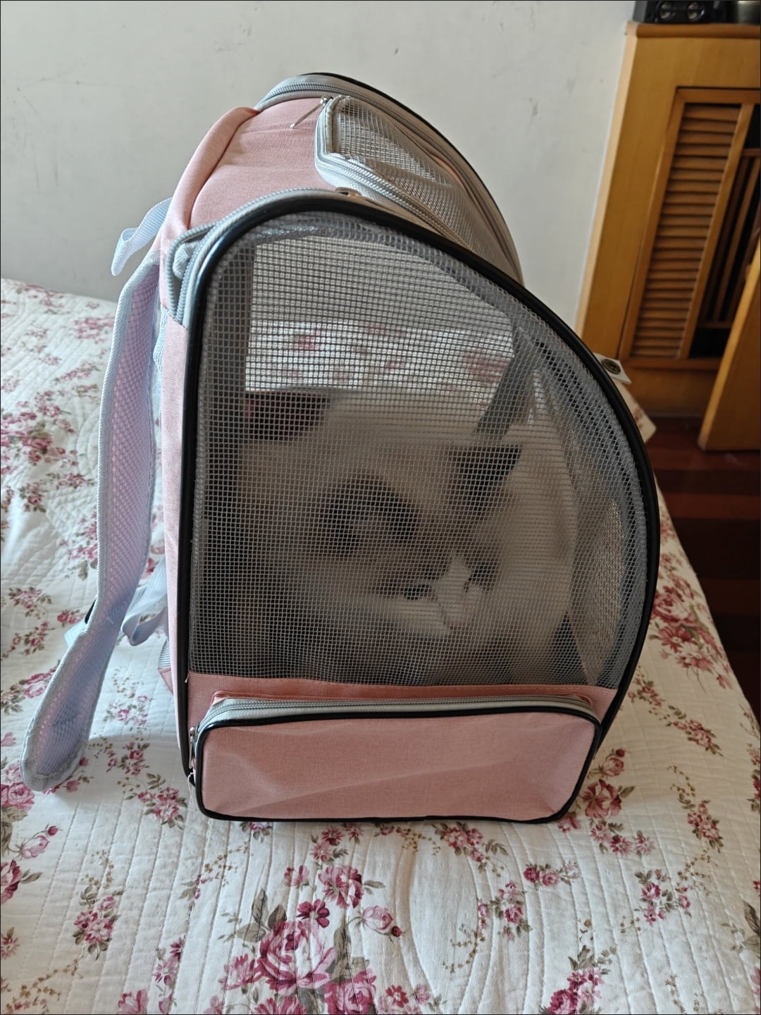 Anvet Pet Backpack Carrier for Small Cats Dogs Designed for Travel, Hiking & Outdoor Use (Light Gray)