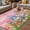 Peach Pink, variant on Easter Gnomes Bunnies Outdoor Rug for Patio/Deck/Porch, Non-Slip Large Area Rug 3 x 5 Ft, Spring Easter Eggs Floral Purple Plaid Indoor Outdoor Rugs Washable Area Rugs, Camping Rug Carpet Runner