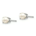 thumbnail image 2 of Primal Gold 14 Karat White Gold 4.5mm Round June/FreshWater Cultured Pearl Post Earrings, 2 of 5