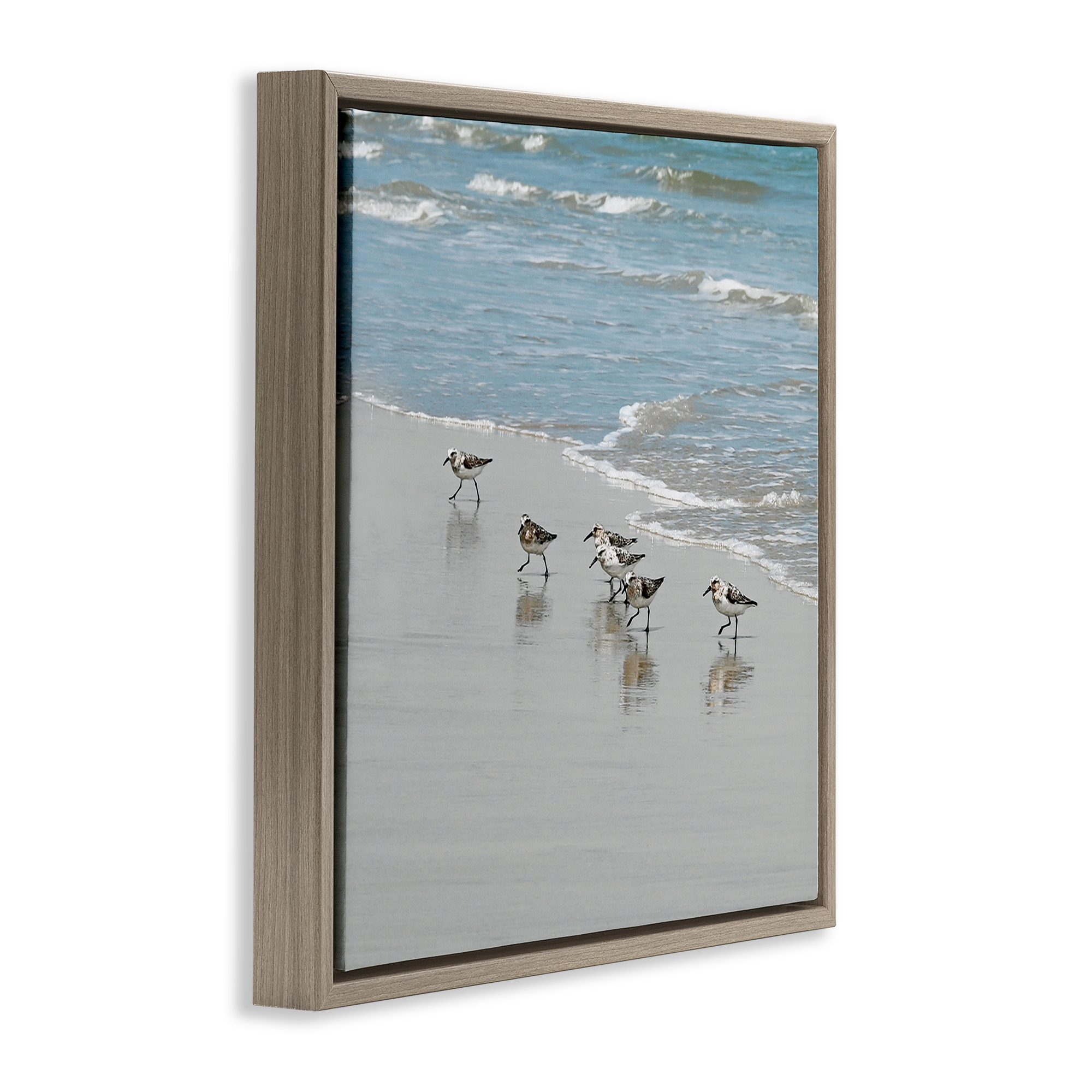 Stupell Industries Sandpipers on Shore Reflection Nature Painting Brown Floater Framed Canvas Art Print Wall Art, 18 x 18