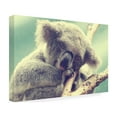 thumbnail image 4 of "Sleepy Head" Canvas Art by Beata Czyzowska Young, 4 of 4