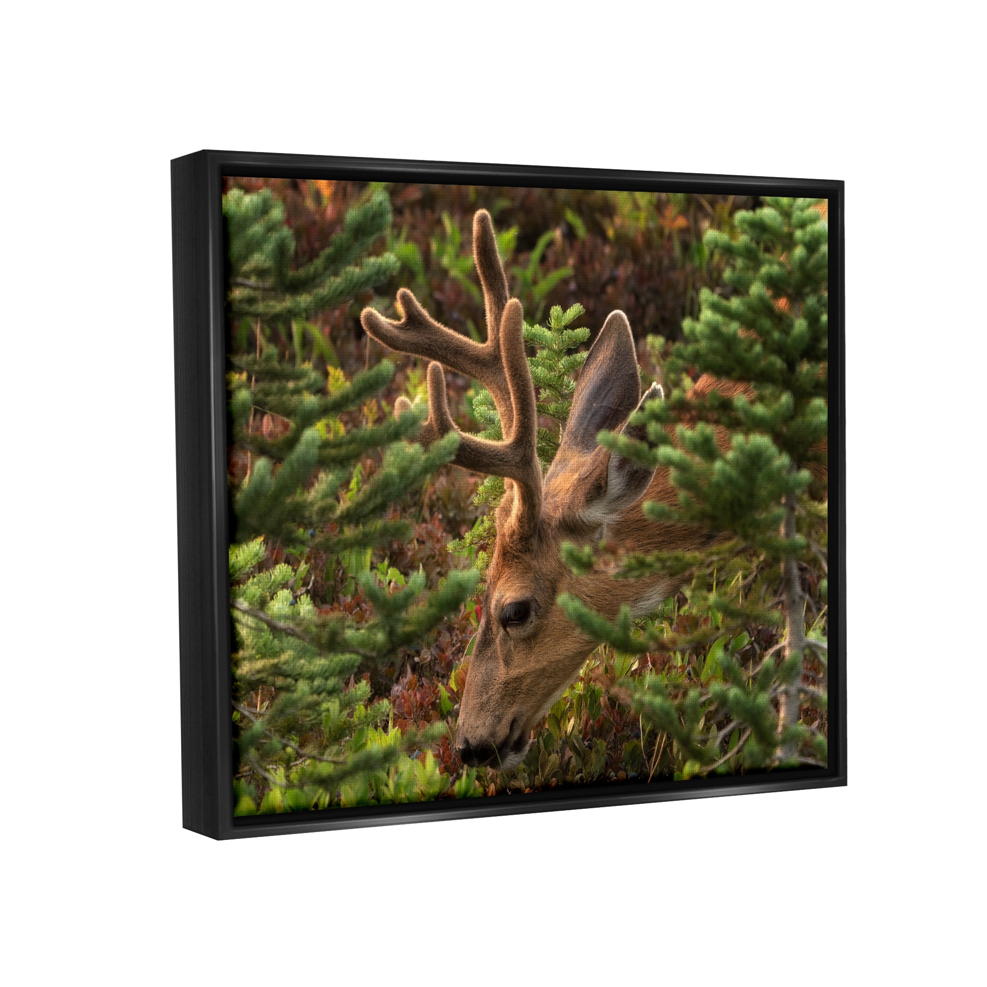 Stupell Industries Deer Forest Nature Vegetation Animals & Insects Photography Black Floater Framed Art Print Wall Art