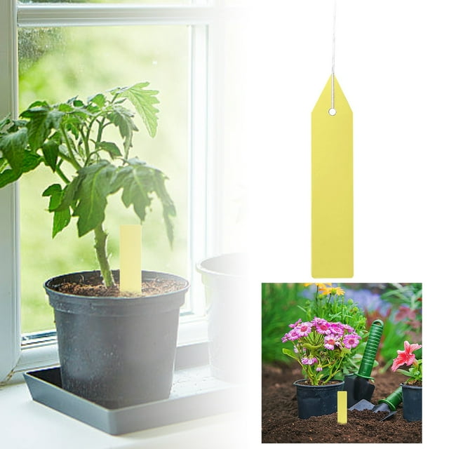 JJKBVCLO 100pcs Plastic Labels Garden Labels Flower Gardening Labels Ground Labels