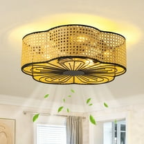 HOOMEDELIER 20" Boho Caged Ceiling Fan with Light and Remote Low Profile Flush Mount Fan 5 Lights