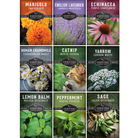 9 Medicinal Herb Seeds - Chamomile Lavender Echinacea Catnip Lemon Balm Marigold Sage Mint Yarrow