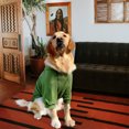 thumbnail image 6 of Kickred Basic Dog Hoodie Sweatshirts, Pet Clothes Hoodies Sweater with Hat and Leash Hole, Soft Cotton Outfit Coat for Large Medium Small Dogs(XL, Army Green), 6 of 6