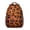 Citrus, variant on Goth Spiritual Backpack for Teens - Waterproof Exterior & Ergonomic Padded Straps