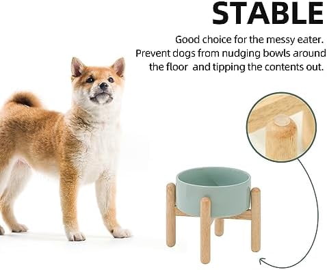 Ceramic 6.1inch Raised Dog Bowl with Stand for Small and Medium Dog Dish Pet Food and Water Bowl (Single Bowl with Stand - Light Green)
