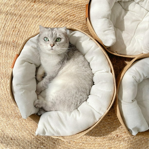 Cool clearance cat bed