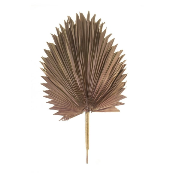 Melrose Set of 6 Fan Palm Leaf Artificial Sprays 41"