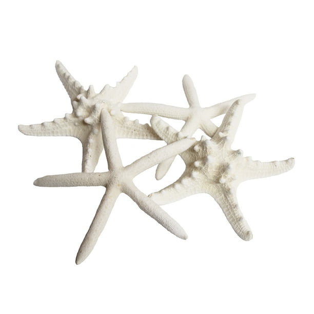 Starfish Shell Beach Decor, 1 piece per purchase, Styles vary - Walmart.com