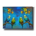 thumbnail image 1 of Epic Graffiti 'Color Birds' by Ata Alishahi, Giclee Canvas Wall Art, 54"x40", 1 of 8