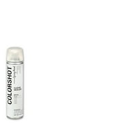 COLORSHOT Premium Gloss Sealer Spray Paint - 10 oz. - Clear