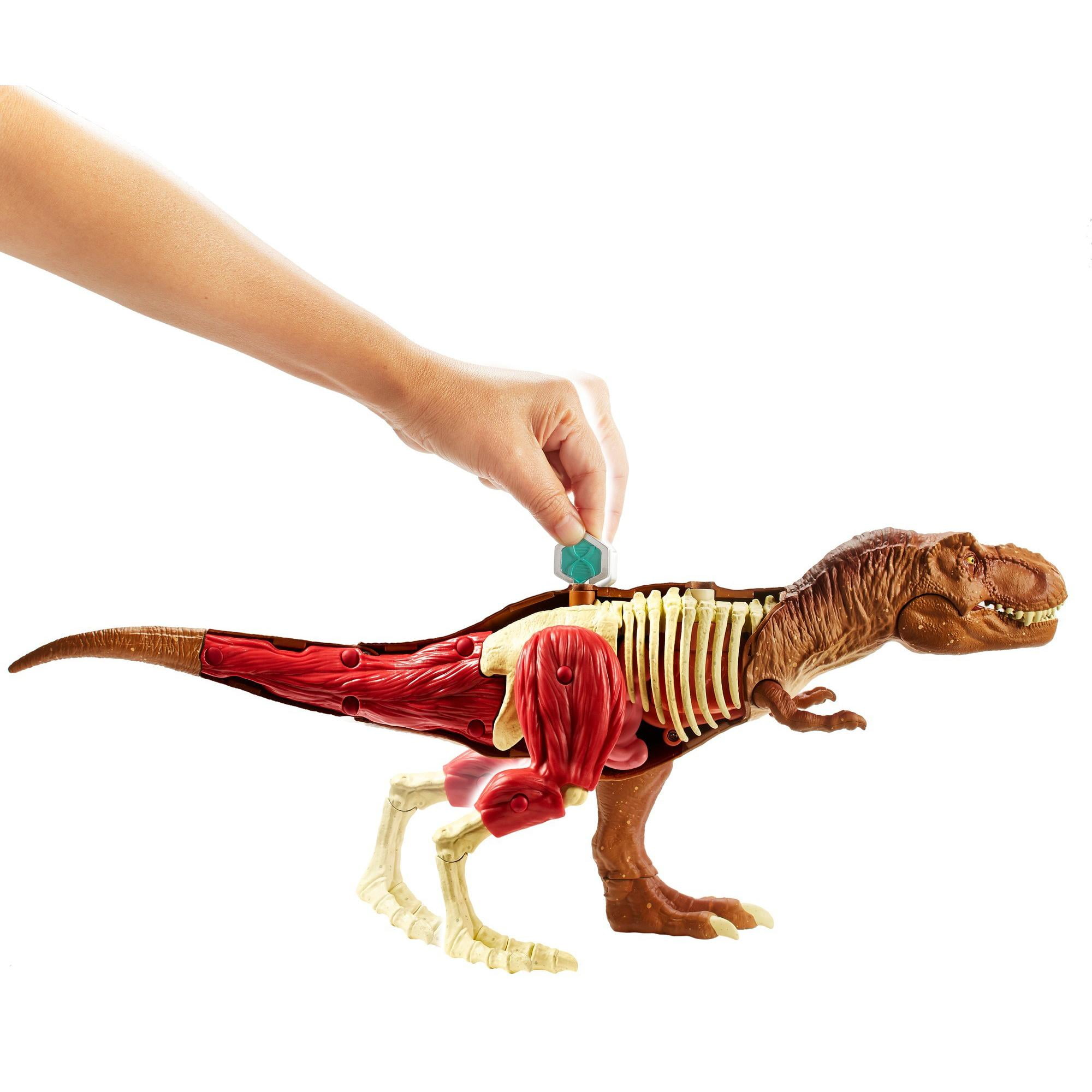 jurassic world anatomy kit