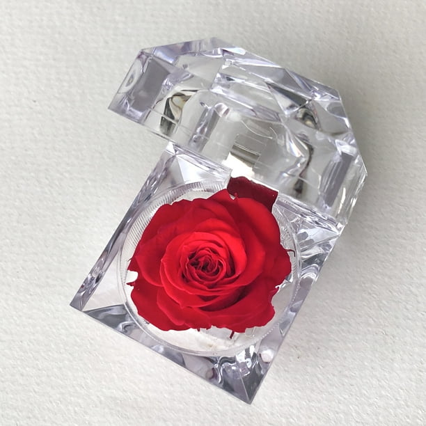 Mini rosa preservada de color Red en cajita de regalo. Mina’an-flor eterna Mini rosa preservada en color Red en pequeña cajita de acrílico para regalo