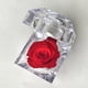 thumbnail image 1 of Mini rosa preservada de color Red en cajita de regalo. Mina’an-flor eterna Mini rosa preservada en color Red en pequeña cajita de acrílico para regalo, 1 of 4