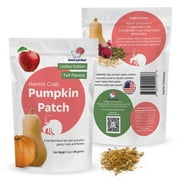 Snout and Shell Pumpkin Patch Hermit Crab Food – Limited Edition Fall Blend with Pumpkin, Squash, Fruits, Grains & Flowers – 2 oz (56g) Natural Seasonal Treat