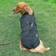 thumbnail image 3 of Chaqueta grande para perros ZHAOCHENG con arnés ropa cálida de invierno impermeable talla XL color negro, 3 of 5