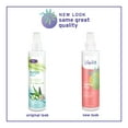 thumbnail image 2 of Life-flo NaPCA Mist | Hydrating Spray for Face, Body and Hair | With Aloe and Sodium PCA for Softer, Fresher Skin | 8oz, 2 of 6