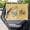 Capybara Orange, variant on chaqlin Horse Car Shades for Side Windows Baby Double Layer Heat Resistant Butterfly Side Car Window Sun Shade Block UV Sun Cartoon Window Shade for Baby Camping Road Trip Daily Commute