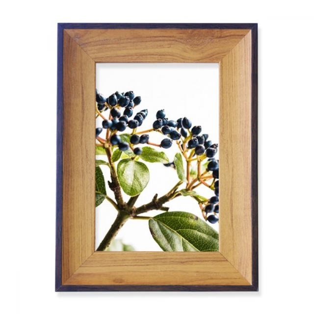Picture White Simpol Nature Photo Frame Exhibition Display Art Desktop Painting