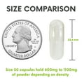 thumbnail image 3 of XPRS Nutra Size 00 Empty Capsules - Clear Empty Vegan Capsules - Capsules Express Vegetarian Empty Pill Capsules- DIY Vegetable Capsule Filling- (500 Count), 3 of 5