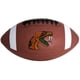 thumbnail image 1 of Balón de fútbol americano Rawlings NCAA Primetime tamaño junior Florida A&M, 1 of 2