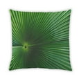 thumbnail image 2 of Ahgly Company Color Focus Green Outdoor Throw Pillow, 18 inch by 18 inch, 2 of 6