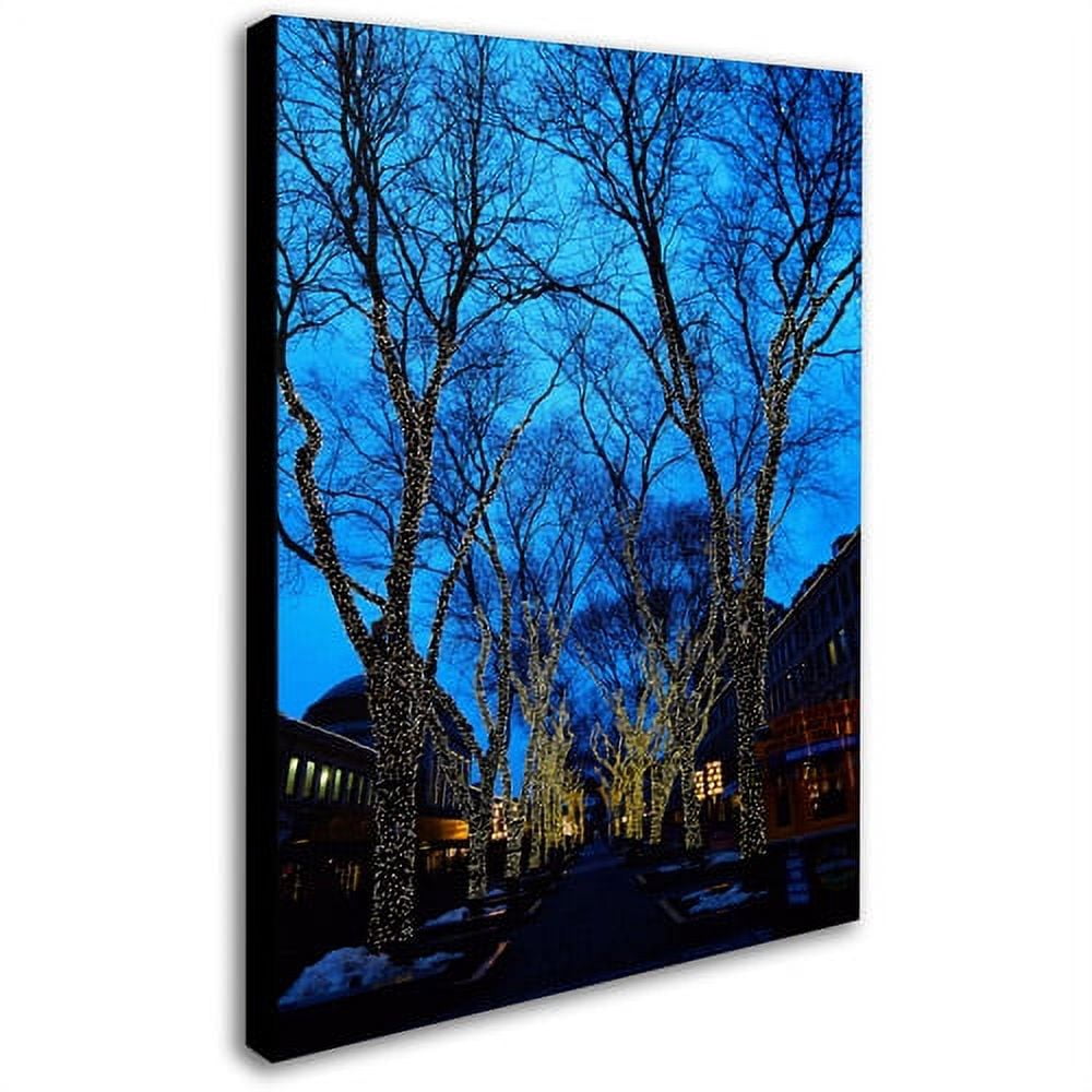 Trademark Fine Art "Boston 2" Canvas Art by CATeyes