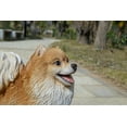 thumbnail image 4 of Hi-Line Gift 13" Pomeranian Dog Garden Statue, 4 of 8