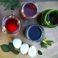 thumbnail image 3 of Natural Earth Paint 101 Natural Egg Dye Kit - Pack of 12, 3 of 4