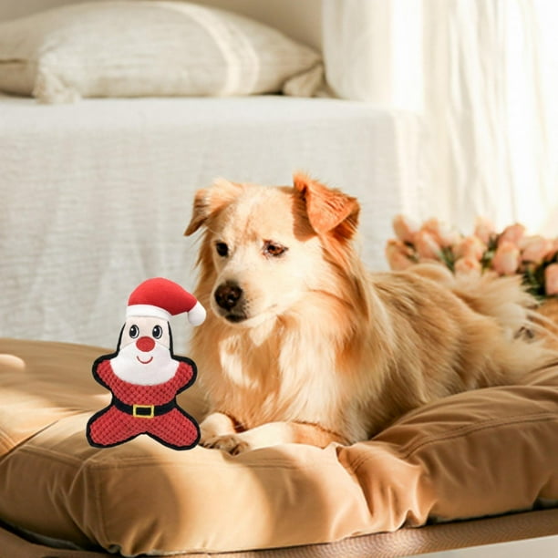 Juguete chirriante para perros Salvador Juguetes interactivos