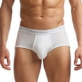thumbnail image 5 of Stanfield's 2-Pack Adult Mens Supreme Cotton Blend Regular Rise Briefs, Sizes S-5XL, 5 of 6