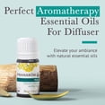 thumbnail image 2 of Pranarom Organic Essential Oil Blend 5ml Calming Lavender, Rosemary, Clary Sage, Pine, Cedarwood, Cardamom, 2 of 7