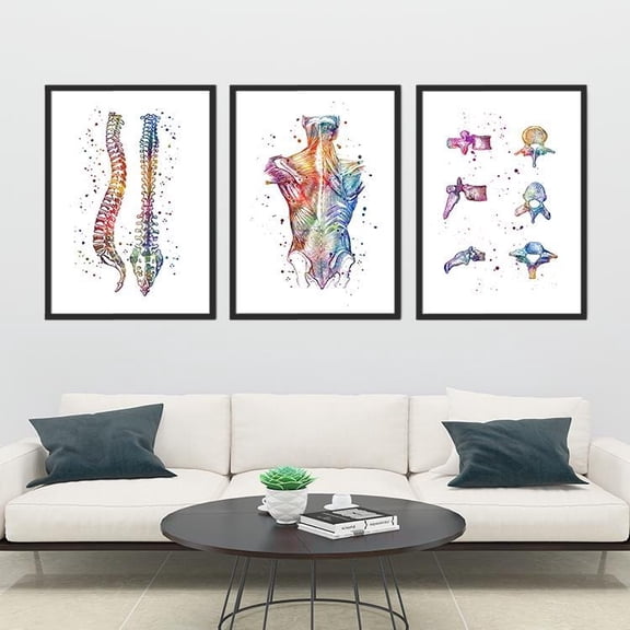 Physical Therapy Art Watercolor Medical Posters Chiropractic Colorful Prints Physiotherapy Clinic Wall Decor Human Anatomy Set 3, Poster Only